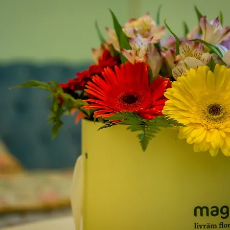 Jmr Royal -luxury & Private Sauna Constanta